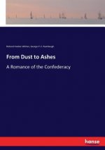 From Dust to Ashes