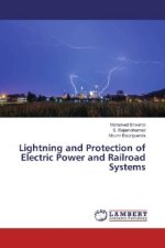 Lightning and Protection of Electric Power and Railroad Systems