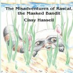Misadventures of Rascal, the Masked Bandit