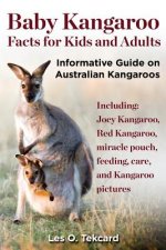 Baby Kangaroo Facts for Kids and Adults