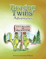 Dragon Twins' Adventures