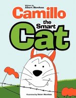 Camillo the Smart Cat