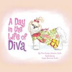 Day in the Life of Diva