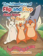 Adventures of Flip and Flop