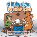 O' Little Elves, Live Under House