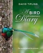 Bird Photographer's Diary