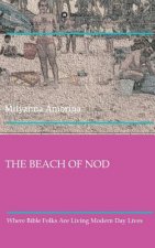 Beach of Nod