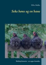 Seks hons og en hane