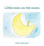 Little Man on the Moon