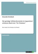 Die geistige Selbsterkenntnis in Augustinus' zehntem Buch der 