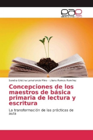 Concepciones de los maestros de básica primaria de lectura y escritura