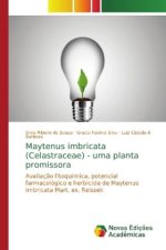 Maytenus imbricata (Celastraceae) - uma planta promissora