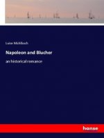 Napoleon and Blucher