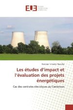 Les études d'impact et l'évaluation des projets énergétiques