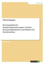 Psychographische Kundensegmentierungen. Vorteile, Einsatzmöglichkeiten und Risiken für Kreditinstitute