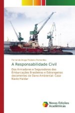 Responsabilidade Civil