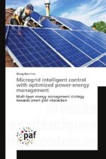Microgrid intelligent control with optimized power-energy management