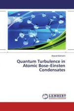 Quantum Turbulence in Atomic Bose-Einsten Condensates