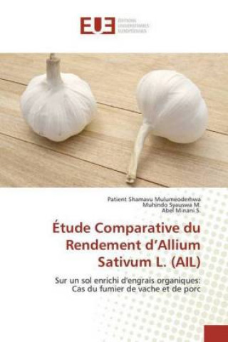 Étude Comparative du Rendement d'Allium Sativum L. (AIL)