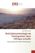Bref phénoménologie de l'immigration dans l'Afrique actuelle