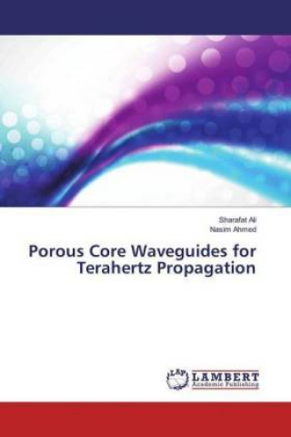 Porous Core Waveguides for Terahertz Propagation