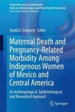 Maternal Death and Pregnancy-Related Morbidity Among Indigenous Women of Mexico and Central America
