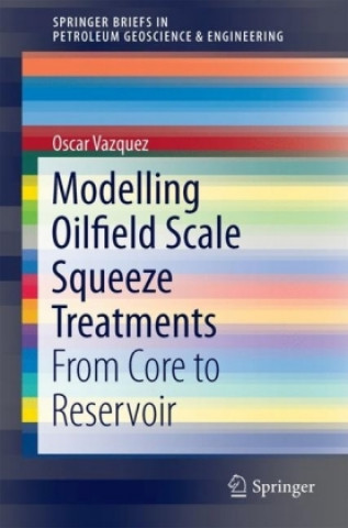 Modelling Oilfield Scale Squeeze Treatments