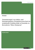 Zusammenspiel von Außen- und Innenperspektive. Perspektivenwechsel als strukturelle Erzähltechnik in Franziska zu Reventlows 