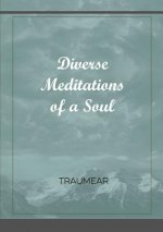 Diverse Meditations of a Soul