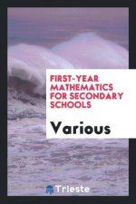 First-Year Mathematics for Secondary Schools