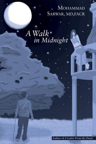 Walk in Midnight