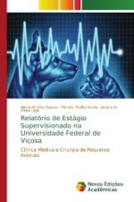 Relatorio de Estagio Supervisionado na Universidade Federal de Vicosa