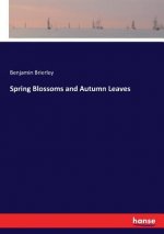 Spring Blossoms and Autumn Leaves