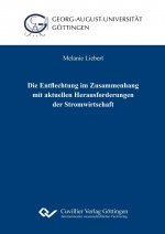 Die Entflechtung im Zusammenhang mit aktuellen Herausforderungen der Stromwirtschaft