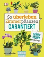 So überleben Zimmerpflanzen garantiert