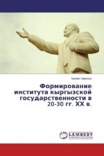 Formirovanie instituta kyrgyzskoj gosudarstvennosti v 20-30 gg. HH v.