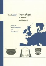Later Iron Age in Britain and Beyond