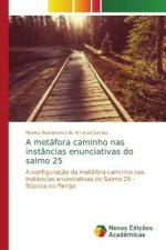 metafora caminho nas instancias enunciativas do salmo 25