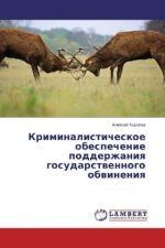 Kriminalisticheskoe obespechenie podderzhaniya gosudarstvennogo obvineniya