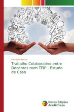 Trabalho Colaborativo entre Docentes num TEIP - Estudo de Caso
