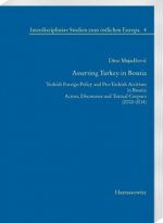 Asserting Turkey in Bosnia