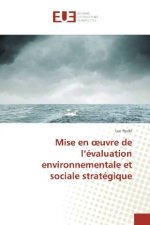 Mise en oeuvre de l'évaluation environnementale et sociale stratégique