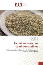 Le quinoa sous des conditions salines