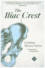 Iliac Crest