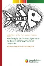 Morfologia do Trato Digestorio do Peixe Steindachnerina notonota