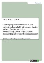 Der Umgang von Fachkräften in der stationären Jugendhilfe mit sozialen Medien und der Einfluss spezieller medienpädagogische Angebote und medialer Jug
