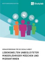 Lebenswelten unbegleiteter minderjahriger Madchen und Migrantinnen. Herausforderung fur die soziale Arbeit