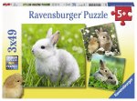 Niedliche Häschen. Puzzle 3 x 49 Teile