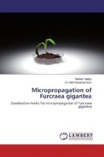 Micropropagation of Furcraea gigantea