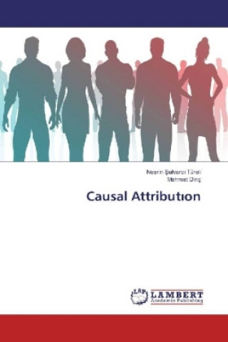 Causal Attribution